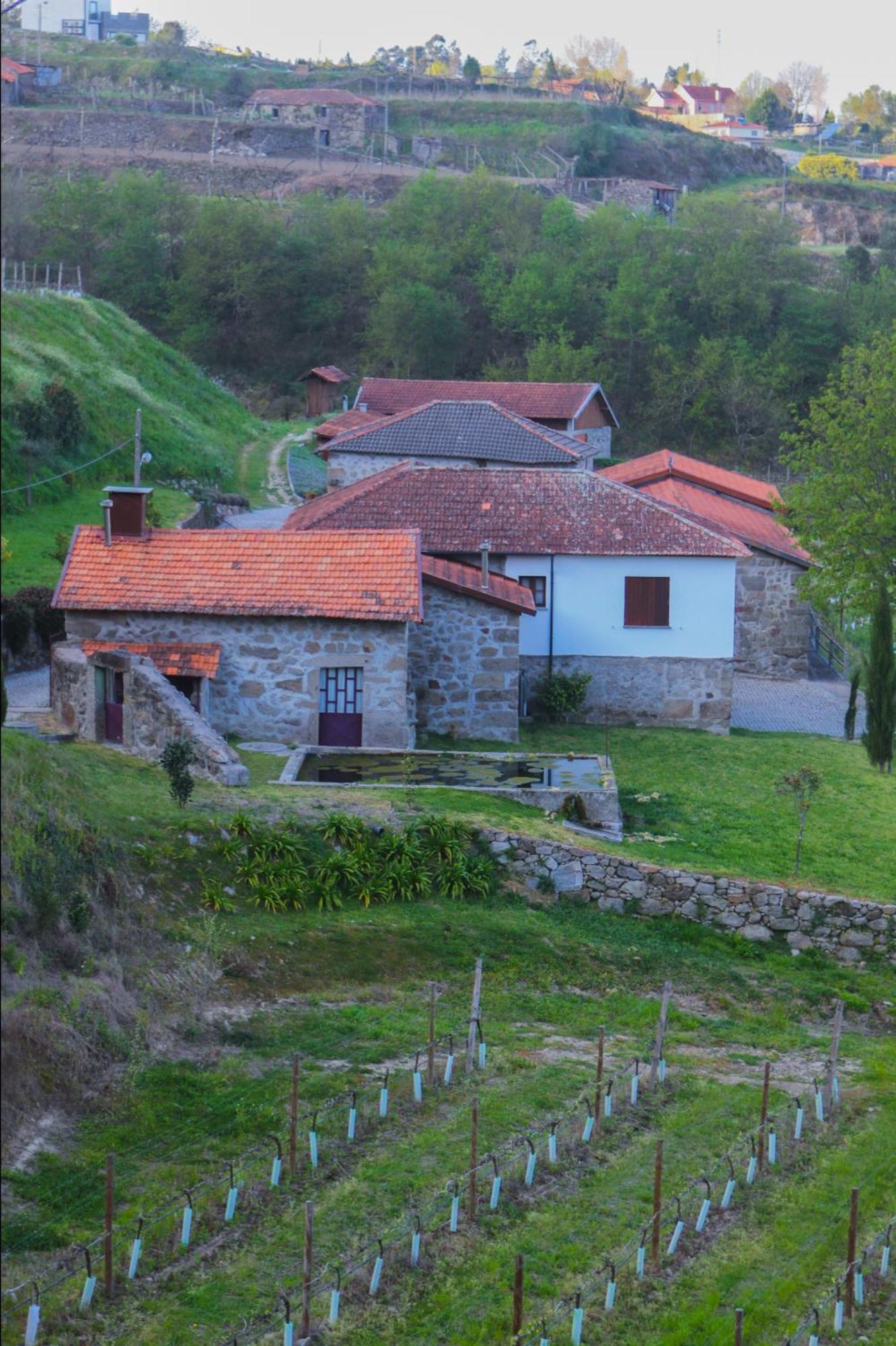 The Farmhouse I - Uma Quinta Deslumbrante Felgueiras Ngoại thất bức ảnh